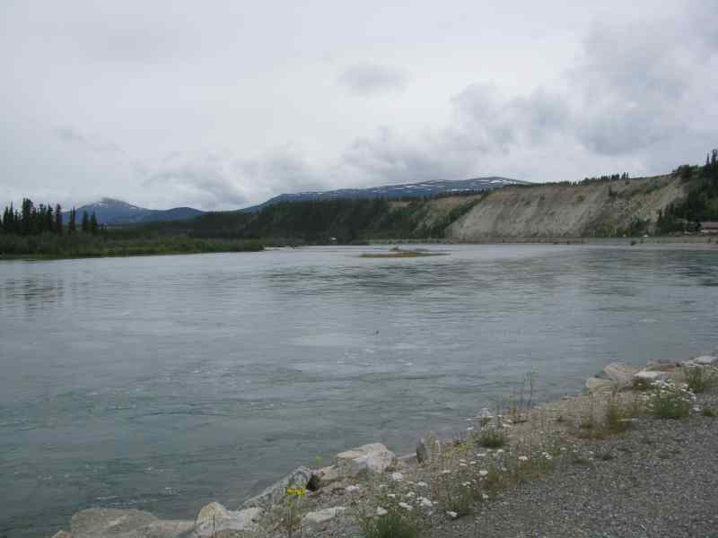 view of the Yukon River near the S.S. Klondike